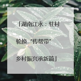 湖南江永：驻村轮换“传帮带” 乡村振兴承新篇