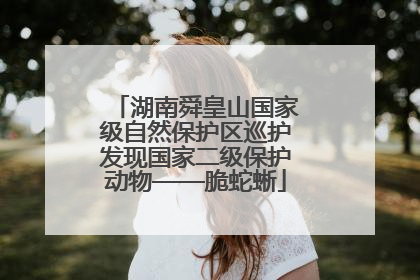 湖南舜皇山国家级自然保护区巡护发现国家二级保护动物——脆蛇蜥