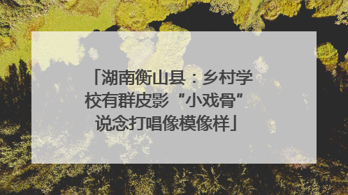 湖南衡山县：乡村学校有群皮影“小戏骨” 说念打唱像模像样