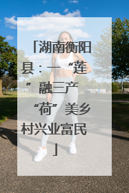 湖南衡阳县：一“莲”融三产 “荷”美乡村兴业富民