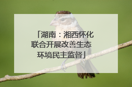 湖南：湘西怀化联合开展改善生态环境民主监督
