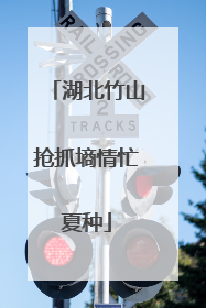 湖北竹山抢抓墒情忙夏种