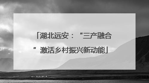 湖北远安：“三产融合”激活乡村振兴新动能