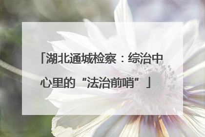 湖北通城检察：综治中心里的“法治前哨”