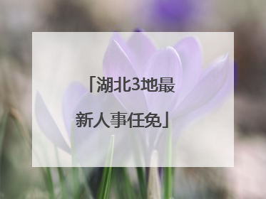 湖北3地最新人事任免