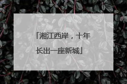 湘江西岸，十年长出一座新城