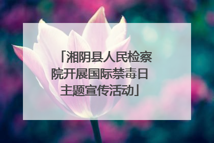 湘阴县人民检察院开展国际禁毒日主题宣传活动
