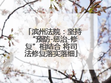 滨州法院：坚持“预防-惩治-修复”相结合 将司法修复落实落细