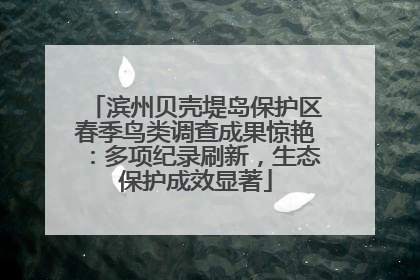 滨州贝壳堤岛保护区春季鸟类调查成果惊艳：多项纪录刷新，生态保护成效显著