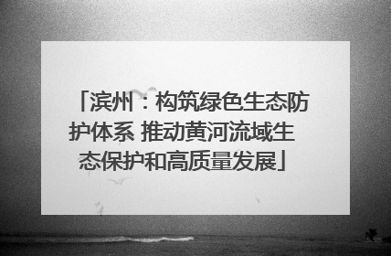 滨州：构筑绿色生态防护体系 推动黄河流域生态保护和高质量发展