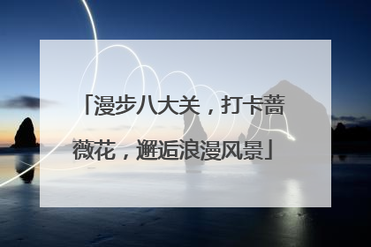 漫步八大关，打卡蔷薇花，邂逅浪漫风景