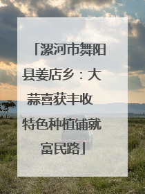 漯河市舞阳县姜店乡：大蒜喜获丰收 特色种植铺就富民路