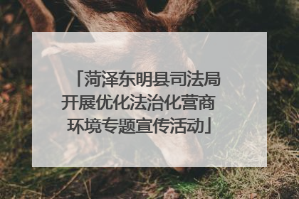 菏泽东明县司法局开展优化法治化营商环境专题宣传活动