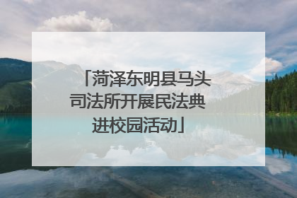 菏泽东明县马头司法所开展民法典进校园活动