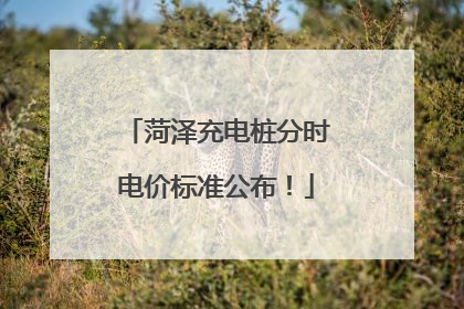 菏泽充电桩分时电价标准公布！