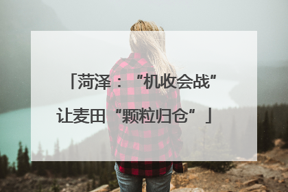 菏泽：“机收会战”让麦田“颗粒归仓”