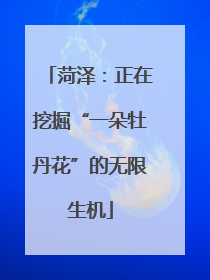 菏泽：正在挖掘“一朵牡丹花”的无限生机