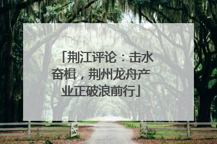 荆江评论：击水奋楫，荆州龙舟产业正破浪前行