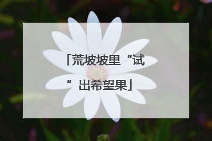 荒坡坡里“试”出希望果