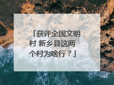 获评全国文明村 新乡县这两个村为啥行？