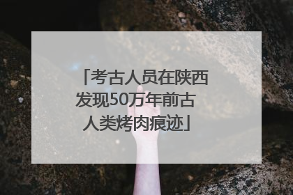 考古人员在陕西发现50万年前古人类烤肉痕迹