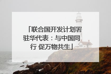 联合国开发计划署驻华代表：与中国同行 促万物共生