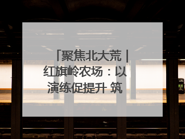 聚焦北大荒｜红旗岭农场：以演练促提升 筑牢平安基石