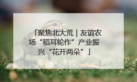 聚焦北大荒｜友谊农场“稻耳轮作”产业振兴“花开两朵”