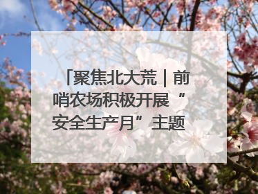 聚焦北大荒｜前哨农场积极开展“安全生产月”主题宣传活动