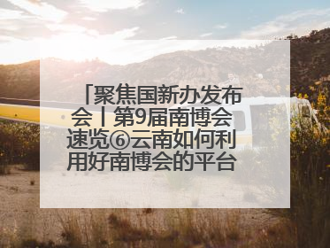 聚焦国新办发布会丨第9届南博会速览⑥云南如何利用好南博会的平台带动作用，深化与南亚国家的交流与合作？