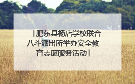 肥东县杨店学校联合八斗派出所举办安全教育志愿服务活动