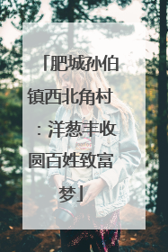 肥城孙伯镇西北角村：洋葱丰收圆百姓致富梦