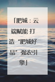 肥城：云端赋能 打造“肥城好品”强农引擎