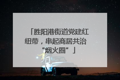 胜阳港街道党建红纽带，串起商居共治 “烟火圈”