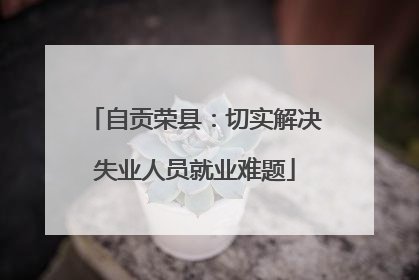自贡荣县：切实解决失业人员就业难题