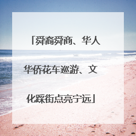 舜裔舜商、华人华侨花车巡游、文化踩街点亮宁远