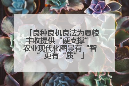 良种良机良法为夏粮丰收提供“硬支撑” 农业现代化图景有“智”更有“质”