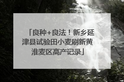 良种+良法！新乡延津县试验田小麦刷新黄淮麦区高产记录