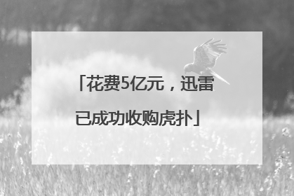 花费5亿元，迅雷已成功收购虎扑