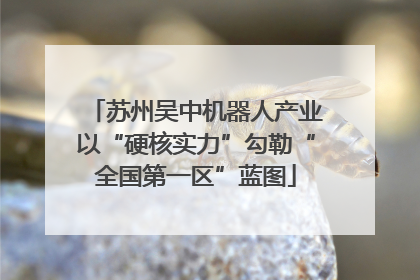 苏州吴中机器人产业以“硬核实力”勾勒“全国第一区”蓝图