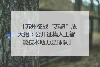 苏州征战“苏超”放大招：公开征集人工智能技术助力足球队