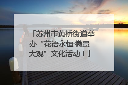 苏州市黄桥街道举办“花语永恒·微景大观”文化活动！