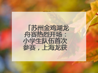 苏州金鸡湖龙舟赛热烈开场：小学生队伍首次参赛，上海龙获国际组冠亚军