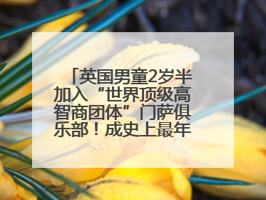 英国男童2岁半加入“世界顶级高智商团体”门萨俱乐部！成史上最年轻男性会员