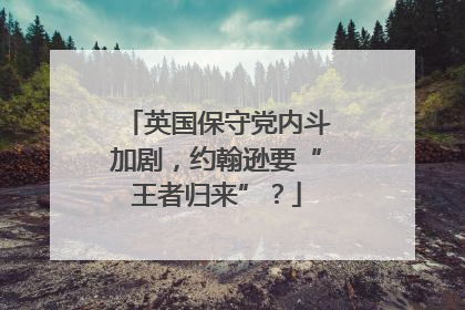英国保守党内斗加剧，约翰逊要“王者归来”？