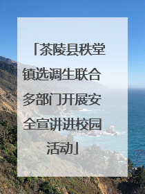 茶陵县秩堂镇选调生联合多部门开展安全宣讲进校园活动