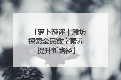 萝卜辣评｜潍坊探索全民数字素养提升新路径