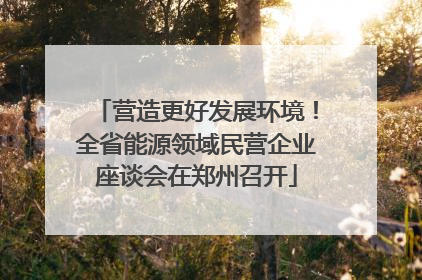 营造更好发展环境！全省能源领域民营企业座谈会在郑州召开