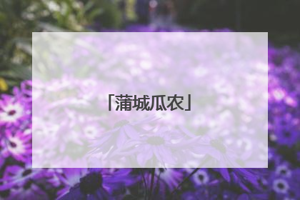 蒲城瓜农