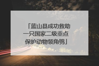 蓝山县成功救助一只国家二级重点保护动物领角鸮